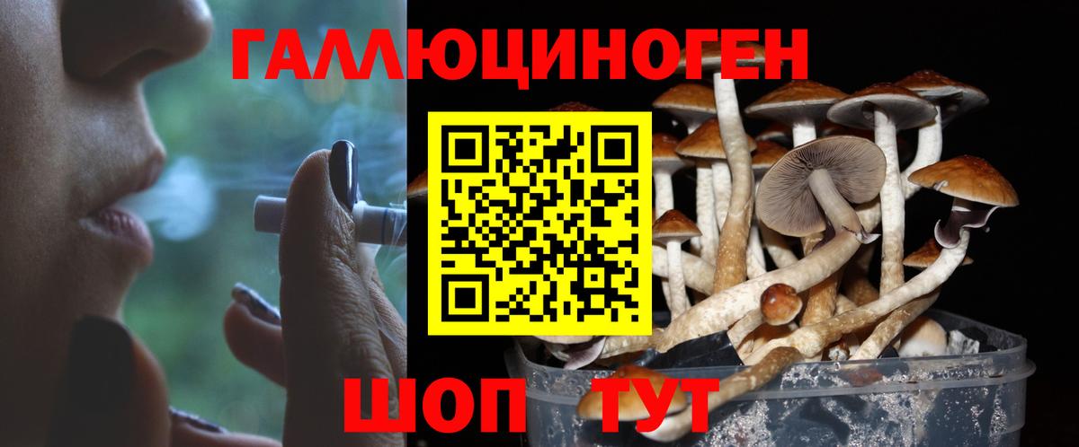 Галлюциногенные грибы ЛСД  Вход с VPN  Борисоглебск  Псилоцибиновые грибы MAGIC MUSHROOMS 